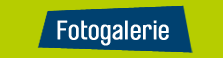 Fotogalerie